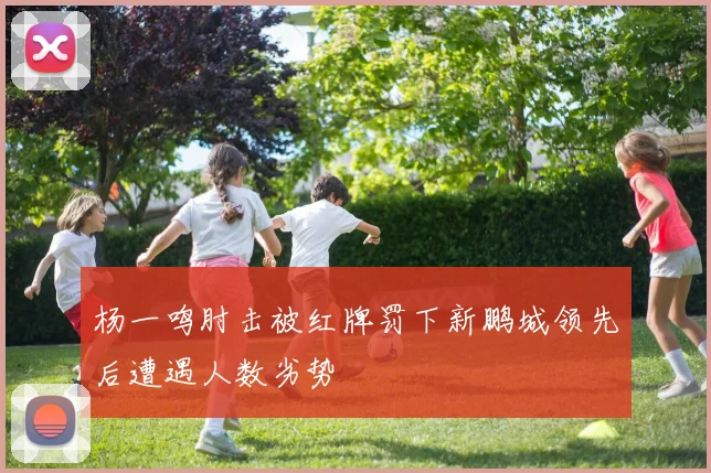 杨一鸣肘击被红牌罚下新鹏城领先后遭遇人数劣势